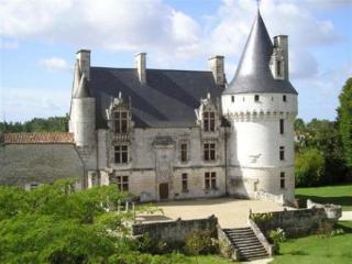 Chateau De Crazannes Екстериор снимка